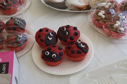 Halyna's ladybird cakes are so realistic